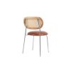 Dining Room Chairs, Modern Industrial Upholstered Chairs Mid Century Leisure Chair with Rattan Backrest for Kitchen Living Room Wine Bar (Set of 2)